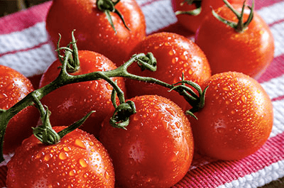 Lycopene antioxidant from tomatoes